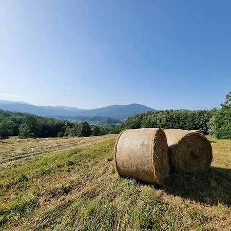 Oasi Di Pace Nella Val Di Taro Compiano