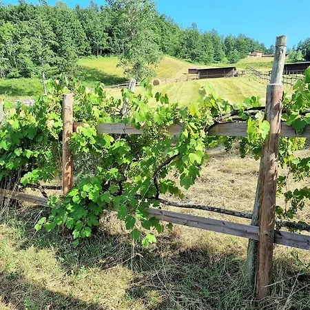 Oasi Di Pace Nella Val Di Taro 아파트 Compiano
