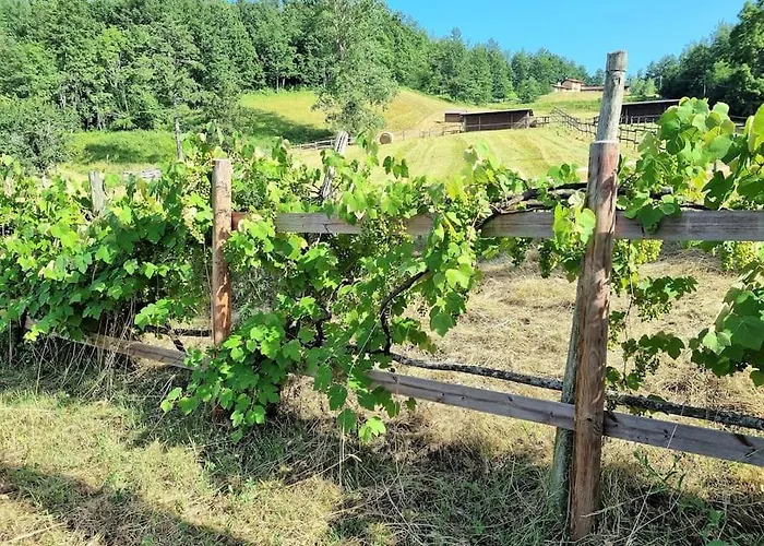 Oasi Di Pace Nella Val Di Taro דירה Compiano